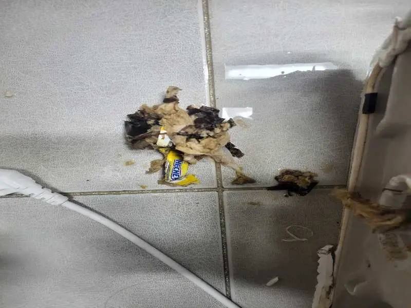 삼각산동 정화조막힘 작업 현장